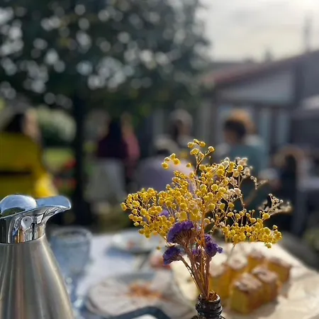 卡萨多纳玛丽亚乡村民宿 乡村民宿